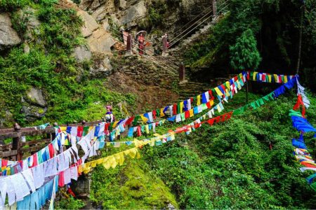 Wangditse Natural Trial Hike