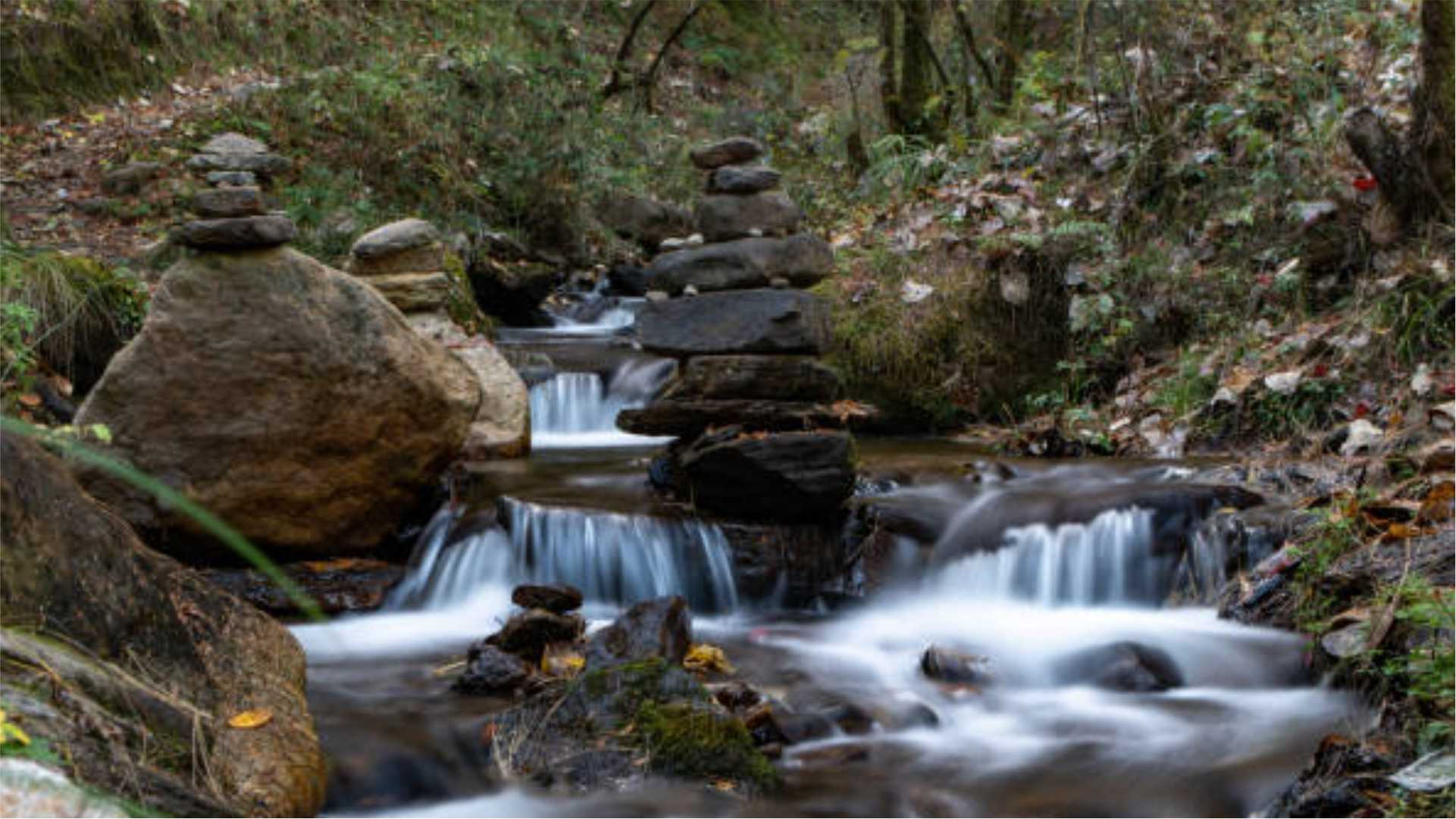 Wangditse Natural Trial Hike