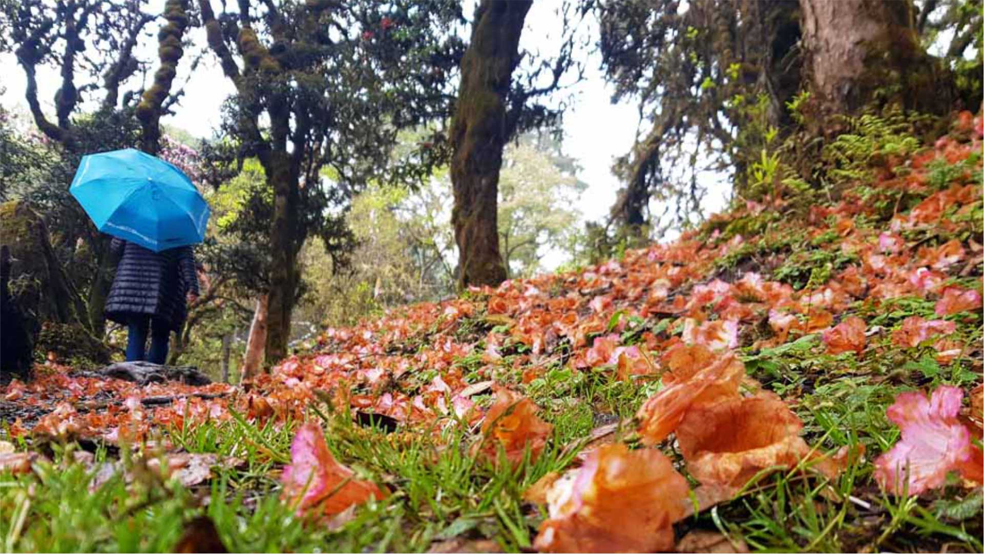 Lungchutse Goenpa Day Hike