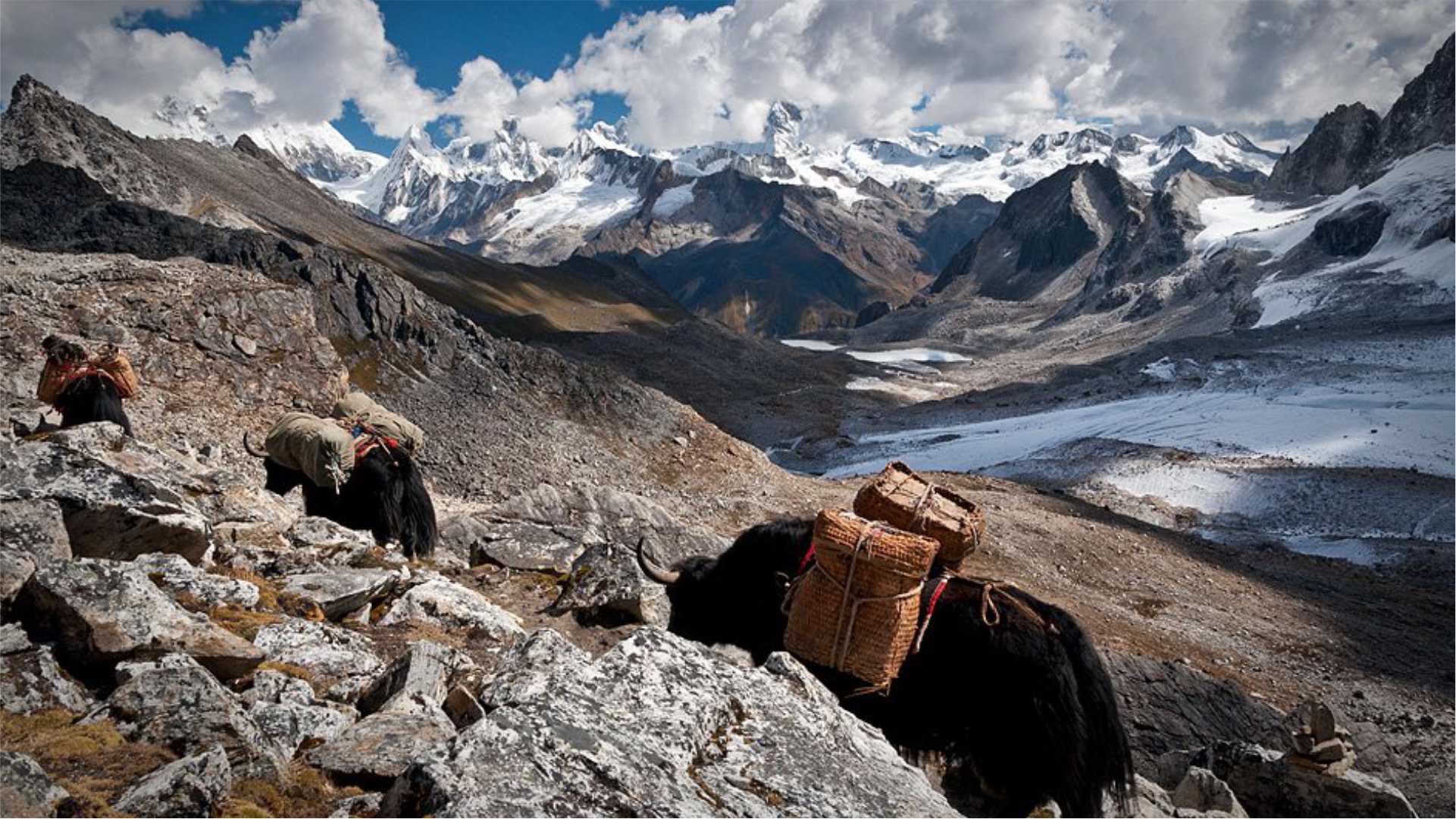 6 Days Dagala Thousand Lake Trek