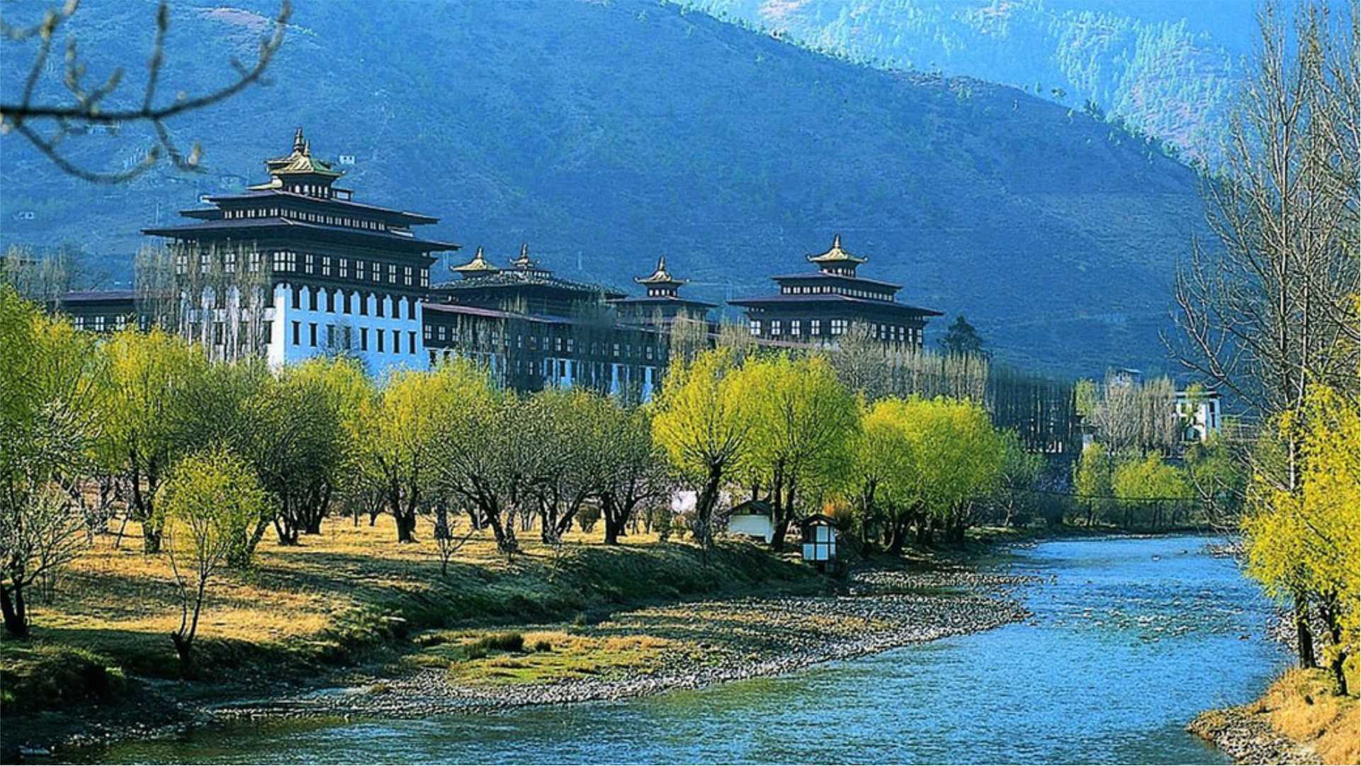 Best of Bhutan 6 Night 7 Days