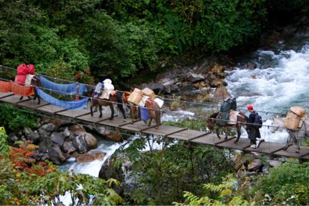 Laya Lingshi Trek 17 Days