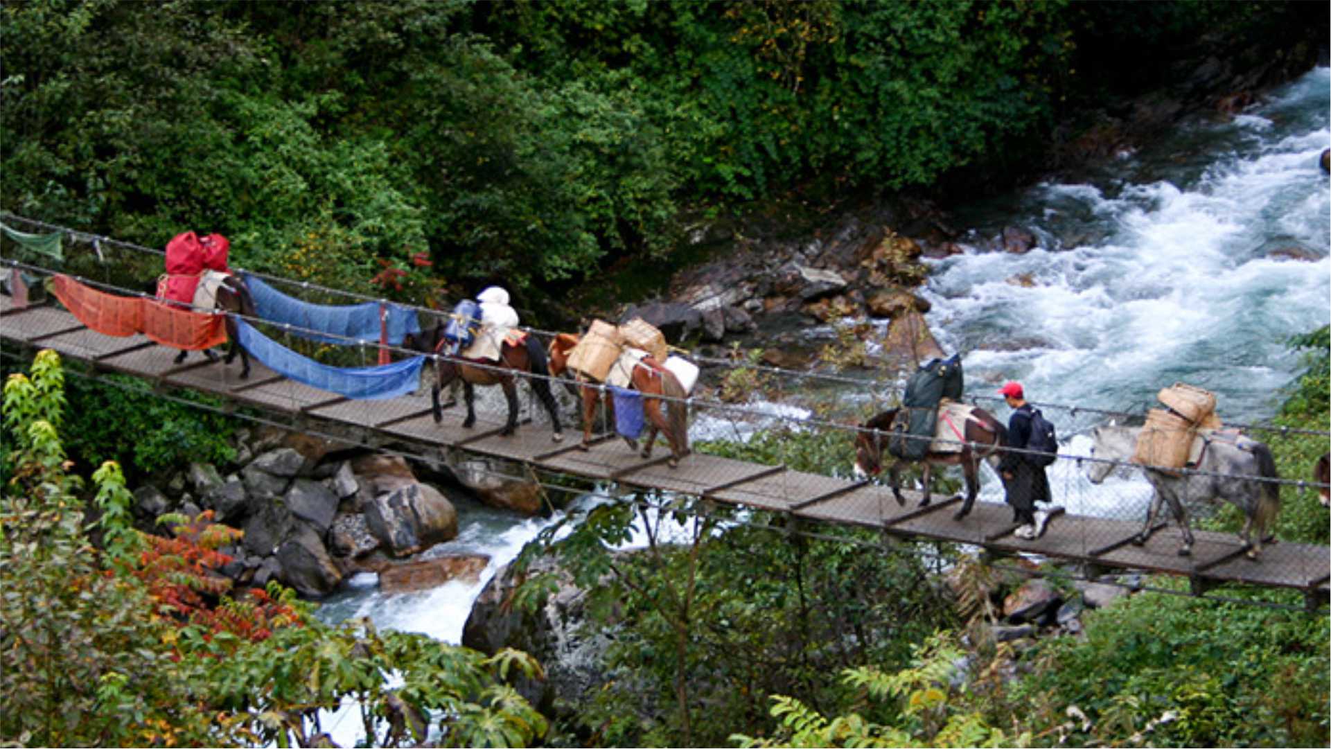 Laya Lingshi Trek 17 Days